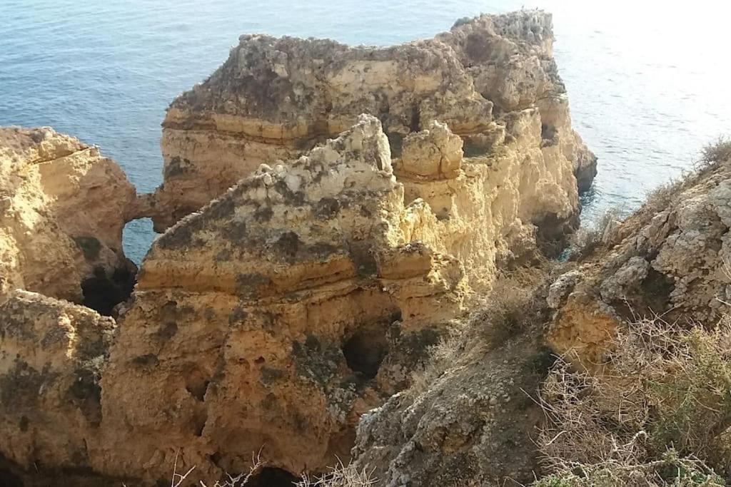 Beautiful Place With Ocean View Apartamento